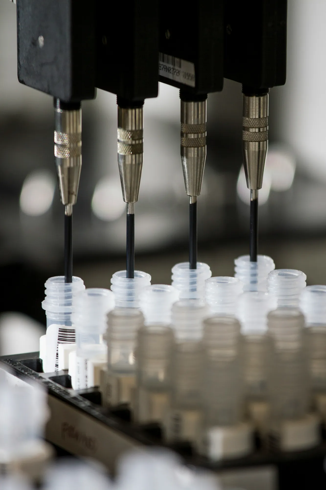 Des pipettes plongent dans des tubes d'échantillons au laboratoire